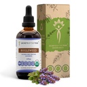 《无酒精液体提取剂部落的秘密》,USDA Organization Bugleweed (Lycopus Virginicus) 干草(4 FL OZ)