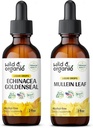 野生和有机金色天线 2 fl oz & Mullein 天线 2 fl oz