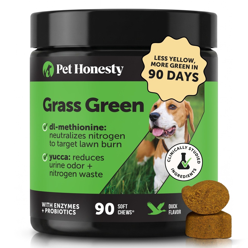 Grass Green Dog Chews - 草坪的尿液中和器,Dog Pee Grass 帮助 Yard Stay Green 地址 配有Probiotics & Ezymes(达克)的燃烧点