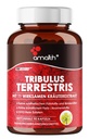 Amalth Tribulus Terrsestris, 20: 1 提取器, 与 Ashwagandha, Saw Palmetto, Shilajit 120 Capsules 最高潜力