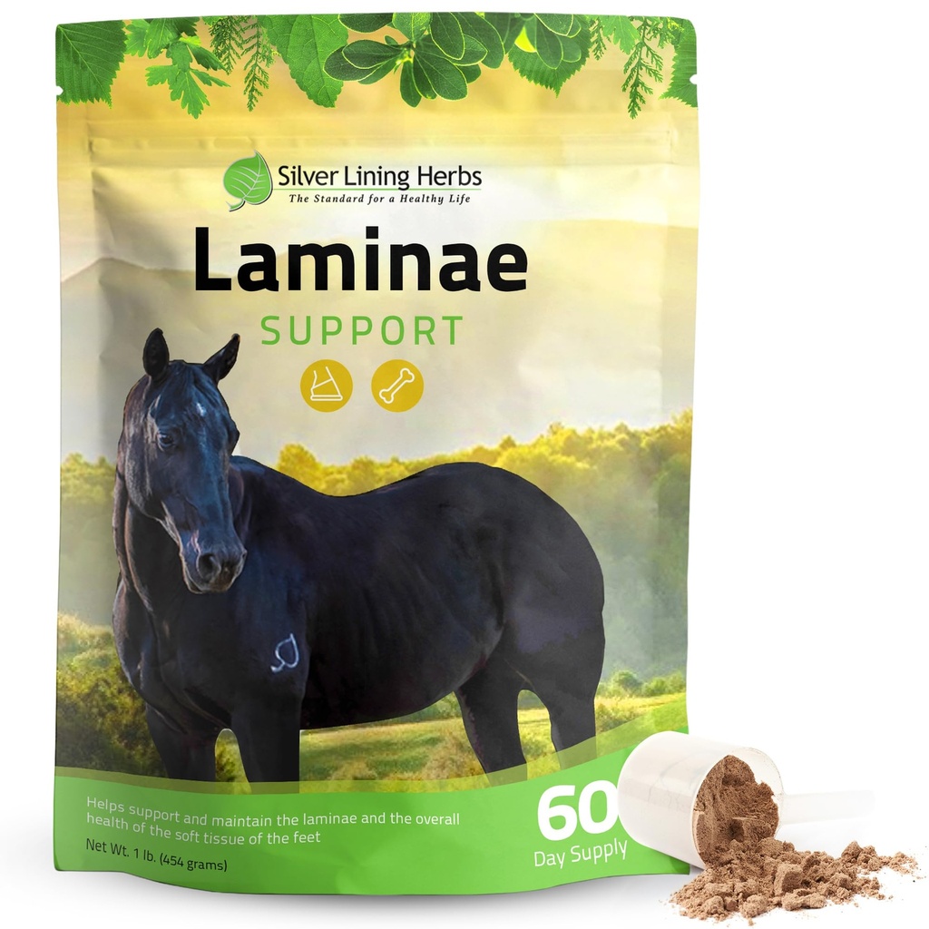 Silver Linning Herbs Laminae 支持马的辅助 Laminitis 和创始人支持马的 - 支持机动性,酸脚,软脚组织与更好的Coat - 支持马的Herbal Hoof补充 - 1 LB