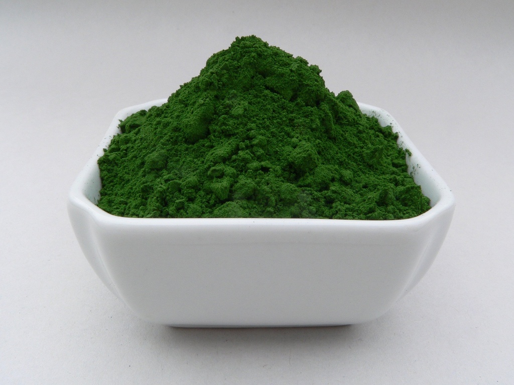 海洋植物浮游生物粉状Raw Omega 3 EPA Vegan ATP 能源超级食品 100格拉姆(3.52 oz)