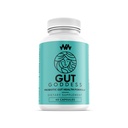 女性GUT健康支持补充 女性Probiotic 消化酶 维生素 Papain Enzyme 为消化支持 QQ GUT女神