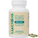 Lucidia Quercetin 配有 NAC, Bromelain, Reishi & Sting Nettle - 免疫支持和季节性健康 - 执业者 设计,非沉睡补充品, 60 Capsules