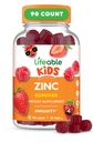 (原始内容存档于2019-09-25) (中文(中国大陆) ). Lifeable Zinc Gummys for Kids | 15mg | Great Tasting Kids Zinc Supplements | GMO Free Vegetarian Zinc Vitamins | |  for  for |  Healthy  Healthy  Healthy  Kids  Kids 90 Gummys | | | | | | | | | | | | | | | | | | | |