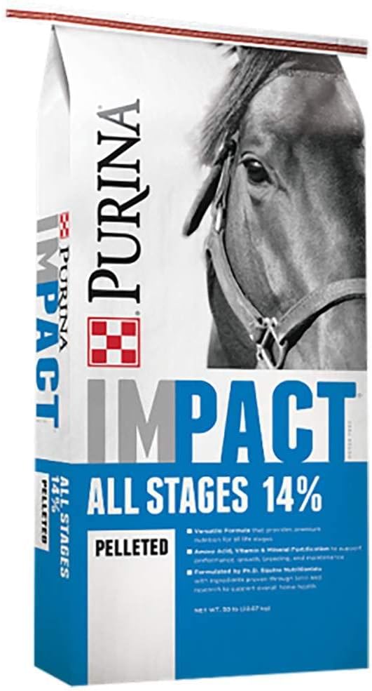 Purina QQ 影响所有阶段 14 Pelled Horse Feed | 50英镑(50磅) Bag