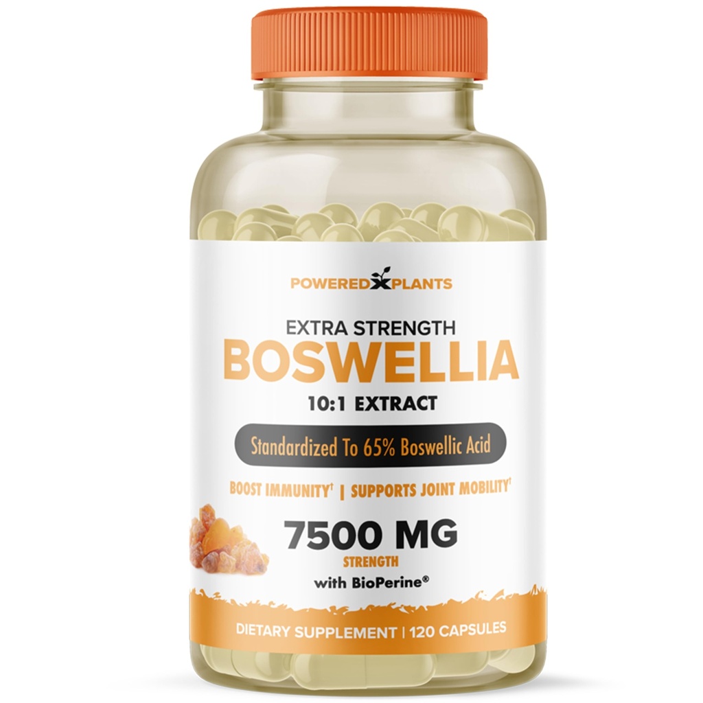 Boswellia Serrata 提取联合支助补编,由工厂提供动力,其中65%为高可能性的Boswellic酸,配有生物乙烯,支持豁免、流动和灵活性,120为Vegan Capsules