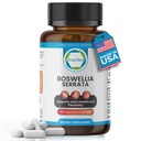 Boswellia Serrata 600mg 65 Boswellic酸提取支持联合安慰,灵活性和流动性 天然草药井补充 Vegan,Non-GMO,Gluten-free 90 Veg Capsules.