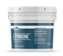 土生土长的元素 L- Tyrosine 1 Gallon Bucket, Pure & Undiluted, 饮食补充粉