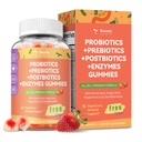 Totaria Sugar Free 5-in-1 Probiotic Probiotic Probiotic Gummy, 36 Strains Probiotics for Men between with Digestive Enzymes, Peppermint, complete Immune, Gut & Drobiotic Supports, Vegan, 60 Counts (原始内容存档于2012年).