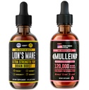 HERBIFY Bundle - Lions Mane & Mullein 4 Fl Oz Raspberry Drops - Supplement for Memory, Focus & Clarity & Immune Support, Lung Cleanse and Bronchial Support