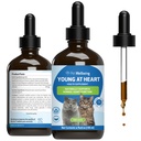 Pet Wellbeing Young at Heart for Cats - Senior Feline Heart Health Support, Cardiovascular Wellness with Hawthorn & Motherwort - NASC Certified & Vet-Formulated - 4 oz Liquid Formula
