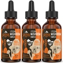 Liposomal Mushroom Complex Drops 2000 MG - 20 Organic Mushroom Extracts - Advanced Liquid Formula for Immunity, Cognitive and Memory - Lions Mane Supplement, Reishi, Cordyceps, Chaga, 90 Servings