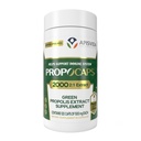 Green Propolis Extract Capsules - PropoCaps 2000 Microencapsulated - Immune Support Supplement - 20mg Phenolic Compounds per Capsule - Rich in Flavonoids - Gluten Free - 120 Capsules