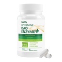 DAO 补充 Histamine 阻断剂 — DAO Enzyme + Diamine Oxidase 和 Quercetin, Immortelle, 维生素C 用于固醇健康和食品支持 60 Capsules