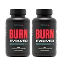 雕塑民族,由V Shred Burn Day 男子-代谢促进器与Cayenne, Gymnema Leaf 提取器,和 Alpinia Galanga 根粉 - 2-Pack - 60 Capsules