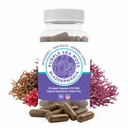 Purple Sea Moss + Bladderwrack Capsules | 2202mg Complete Nutrient Profile - Wildcrafted & Wildharvested Seaweed Blend for Daily Wellness – 60 Seamoss Pills & Sea Moss Capsules | Made in USA
