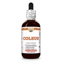 Coleus (Coleus Forskohlii) Dry Root Tincture, Made in Hawaii, All Natural, Vegan, Pure Liquid Extract - 2 fl.oz