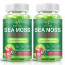 Organic Sea Moss Gummies,with Black Seed Oil,Bladderwrack,Burdock Root, Vegan Irish Sea Moss Gummy Vitamins for Immune, Thyroid and Detox Support, Gluten-Free - 120 Gummies
