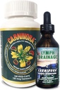 Carnivora The Ultimate Combo - Vegi Caps和Lymph排水支持免疫系统和Flush Out废物(Bundle有1瓶Vegi Caps和1瓶Lymph排水)