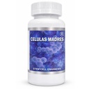 Celulas Madres Stem 细胞增强器