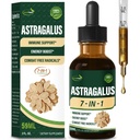 与Rhodiola Rosea、Echinacea、Merderberry、Reishi、Ginseng合作的Astragalus Root提取草药滴液,用于免疫系统支持、健康豁免和能源靴子补品。 黄琦 二八