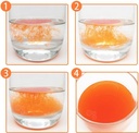 Haematococus pluvialis 提取 astaxanthin (ASTA) 微囊粉 2.5% HPLC, CWS Instant, 1000 grams (35 Oz.