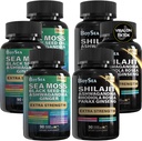 宝海. Shilajit和Sea Moss Bundle -- -- 90 Counter -- -- Sea Moss、黑种子石油、Ashwagandha、Ginger & Shilajit、Rhodiola Rosea,全部为1份补编(3份Pc)