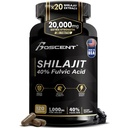 Shilajit Capsules 20,000mg – 纯喜马拉雅岛 Shilajit 供男性和女性使用 – 与Resin 相同 – Fulvic Acid 补充 85+ Trace Minerals – 高概率自然能源 – 120 Vegan Capsules