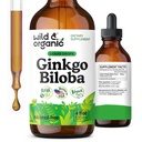 野生和有机 Ginkgo Biloba 提取滴 - 大脑和焦点支持 - Liquid Ginkgo Biloba 补编 - Vegan,糖和无酒精草药丁 - 4 fl oz