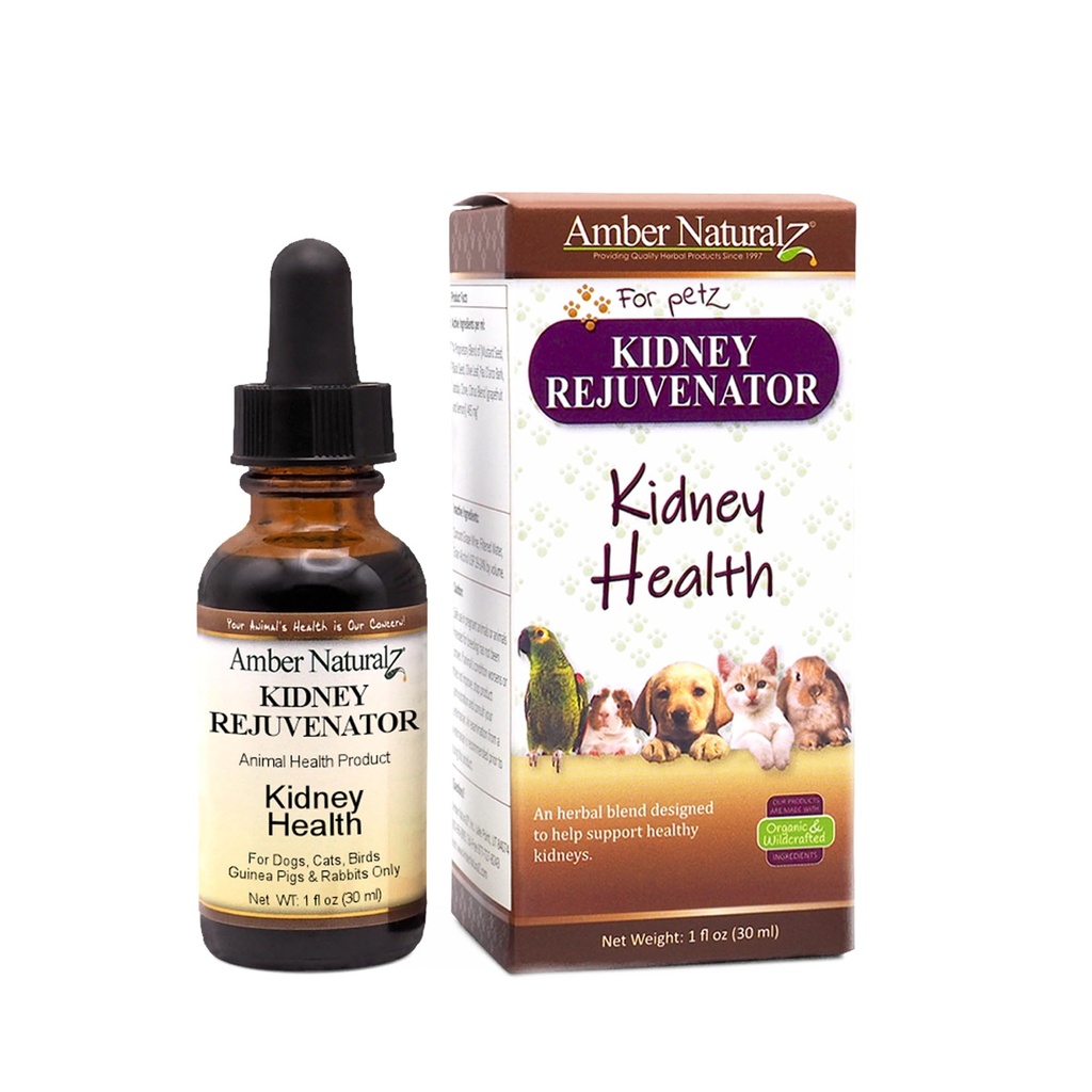 Amber NaturalZ Kidney 肾脏复方药 对狗、猫、鸟、兔子和几内亚猪的草药补充剂 |支持正常的肾功能 | 肾健康天然援助