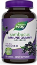Natures+Way Sambucus 老年莓Gummys,配有维生素C,维生素D和锌,儿童与成年人的免疫支持,120 Gummys