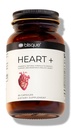 Blisque – Natural Blood Pressure Support Supplement for Heart Health and Circulation | Doctor-Approved | with 200 mg CoQ10, Hawthorn Berry, Beet Root, Turmeric | 90 Capsules