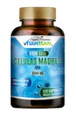 Celulas Madres AFA Stem 自然细胞 120 Capsules 1000 mg 蓝绿藻 非转基因生物 Gluten Free Aphanizomenon Flos-aquae celula 疯人院