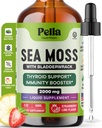 与Bladderwrack(英语:Bladderwrack) – 4X 较爱尔兰海Moss Gel 超级食品,Gummys和Capsules(英语:Capsules) – 消化性和免疫性支持补充剂(Strawberry Lime, 60mL)