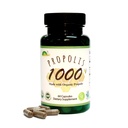GREENBOW Propolis 1000mg  诺吉莫 由有机Propolis 60 Capsules VEGAN CAPSULES制成