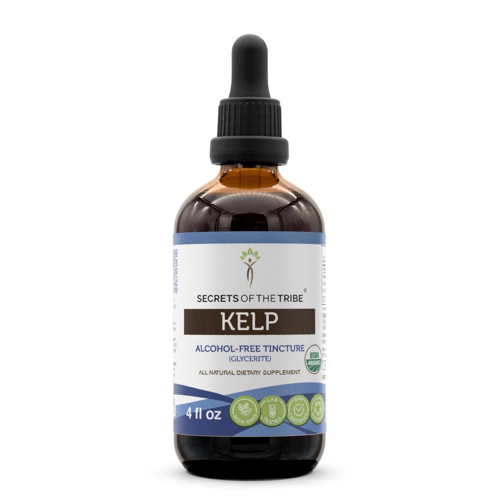 Secrets of the Tribe Kelp USDA Organic | Alcohol-Free Extract, High-Potency Herbal Drops | Made from 100% Certified Organic Kelp (Ascophyllum nodosum) Dried Plant (4 oz)