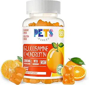 Pets Purest Glucosamine Chondroitin Gummys,配有MSM & Elderberry Extrastrance-联合支持,成人、男子和妇女抗氧化剂免疫支持补充剂。 橙红色