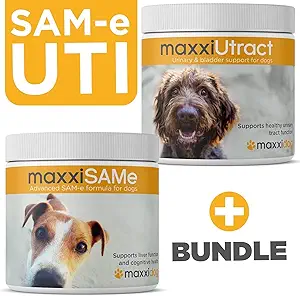 maxiipaws SAM-e UTI Bundle – maxxiSAMe 高级 SAM-e 支持狗和 MaxxiUtract Canine Urinary 和 Bladder 补编