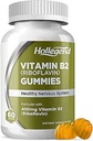 维生素B2 Gummys Riboflavin 400mg, B2 维生素 Chewable 补充剂, Vegan, Non GMO, Orange Flavor, 60 Counter