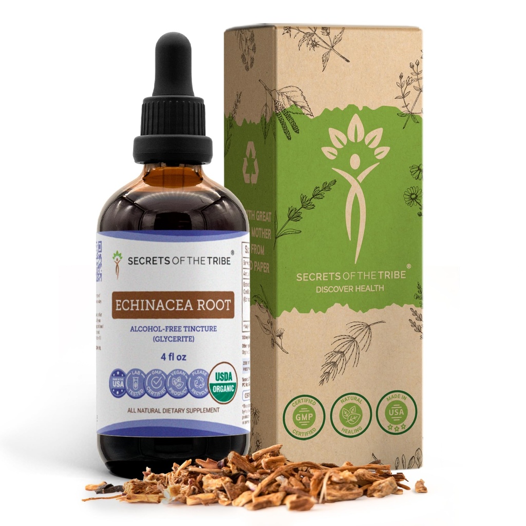 Echinacea Root USDA 有机丁香 QQ 无酒精提取 高概率草药滴 免疫系统健康 100%认证的Echinacea根(Echinacea Purpurea) 4 oz