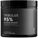 Tribulus Terrestris for Men - 超高概率 25:1 提取 95% Saponins - 1300mg 纯和集中公式 - 第三方测试纯度和质量实验室 - 240 Capsules