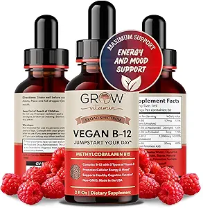 Vegan B12 复杂液体亚语言滴 - 强化毛皮和钉子维生素的甲基Cobalamin精品补充剂 b12 b6 b5 b3 和 b2 天然能源靴, 免疫系统和精神重点支持
