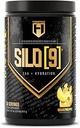 HOSSTIE SILO[9] 基本氨基酸、EAA 和 BCAA 粉剂、电解水力支持、增强肌肉生长和恢复、工作前或工作后饮料、蓝莓柠檬汁、30种服务