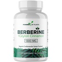 纯柏柏林补充剂 - 1300mg 柏柏林加锡兰桂仁用于代谢和免疫系统支持 - 60 services