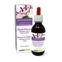 Naturma South Africa Pelargonium 或 Umckaloaba (Perargonium sidoides) 根无酒精丁香 - 4 fl oz 液体在滴液中的提取 - 草药补充 - Vegan