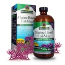 (原始内容存档于2018-09-26). Nature's Answer Marine Calcium Magnesium, Vanila Cream, 16-Ounce 自然免疫支持 维护健康骨骼 促进心脏健康 – 肌肉功能支持