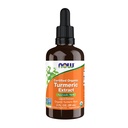 Now Foods Assupports, 认证有机电图提取, Ayurvedic Herb, 液体提取, 有机电图根 2 液盎司