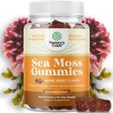 Natures Irish Sea Moss Gummys for Women Men & Kids - 与爱尔兰海 Moss, Bladderwrack & Burdock Root - Detox Gummys for Body Cleanse - 90 Chewwable Gums (英语:爱尔兰海 Moss, Bladderwrack & Burdock Root - 防毒古米用于身体清洁 - 90 化学古米