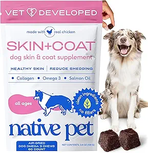 原生的Pet Omega皮和Coat Chews for Dogs - 狗皮和Coat 补充健康,光亮的毛皮,减少 Shedding和干燥斑点 - 用Omega 3鱼油和野生的沙门油制作 - 60 Chews